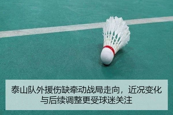 泰山队外援伤缺牵动战局走向，近况变化与后续调整更受球迷关注